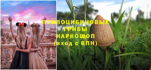 винт Каменск-Шахтинский