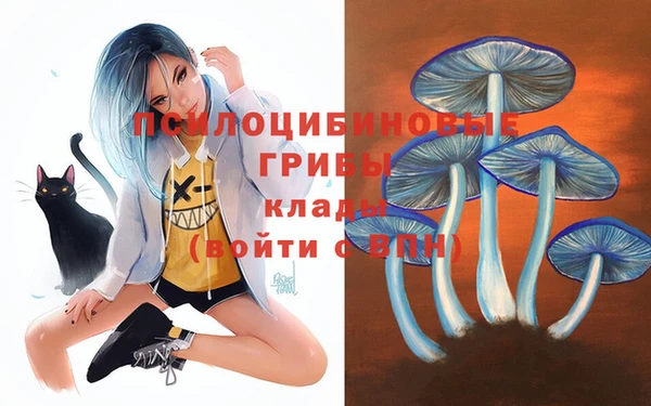 кокаин перу Каменногорск