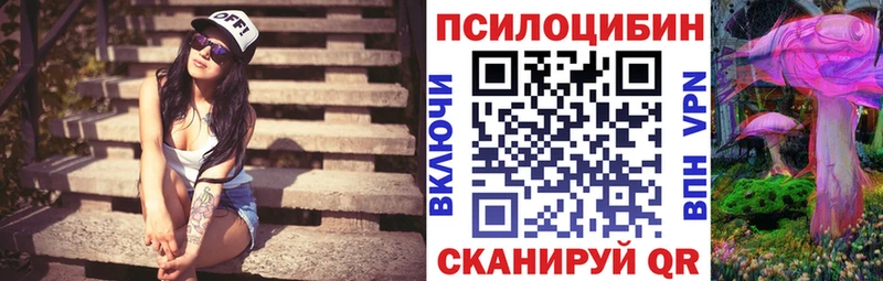 Галлюциногенные грибы Psilocybe  Купить закладки  Дмитровск 