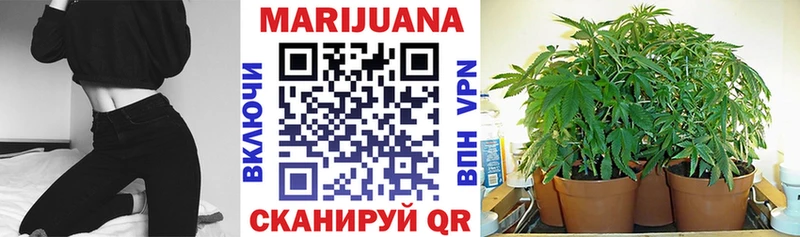 Шишки марихуана планчик  Купить  Дмитровск 